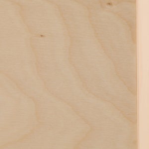 Fatty Containers Lサイズ 2642