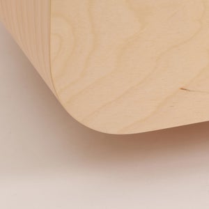 Fatty Containers Lサイズ 2652