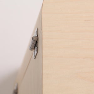 Fatty Containers Lサイズ 2704