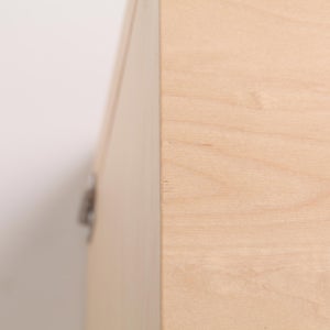 Fatty Containers Lサイズ 2707