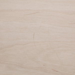 Fatty Containers Lサイズ 2587