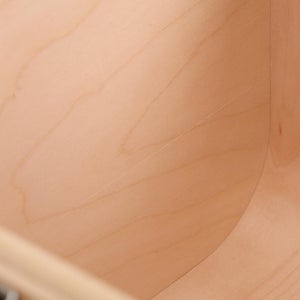 Fatty Containers Lサイズ 2650