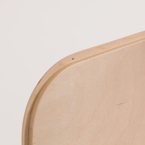 Fatty Containers Lサイズ 2659