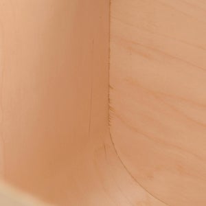 Fatty Containers Lサイズ 2664