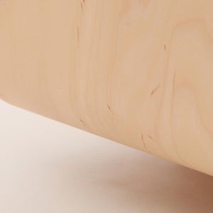 Fatty Containers Lサイズ 2665