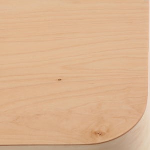 Fatty Containers Lサイズ 2695