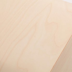 Fatty Containers Lサイズ 2704