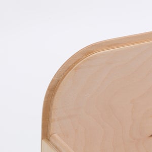 Fatty Containers Lサイズ 2587