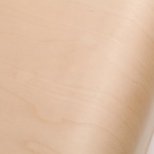 Fatty Containers Lサイズ 2707