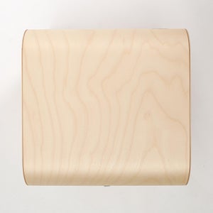 Fatty Containers Lサイズ 2579