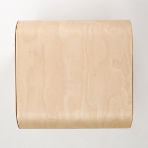 Fatty Containers Lサイズ 2580