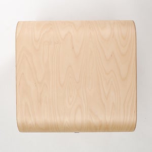 Fatty Containers Lサイズ 2581