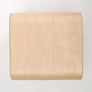 Fatty Containers Lサイズ 2582