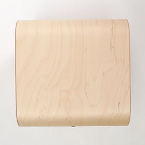 Fatty Containers Lサイズ 2583