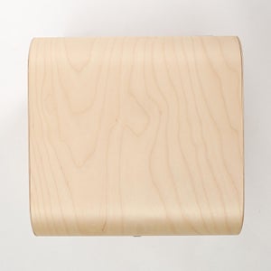 Fatty Containers Lサイズ 2585