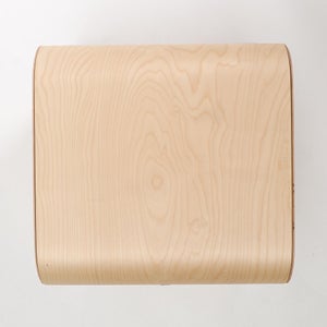 Fatty Containers Lサイズ 2586