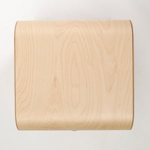 Fatty Containers Lサイズ 2593