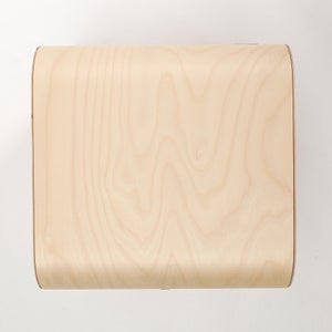 Fatty Containers Lサイズ 2595