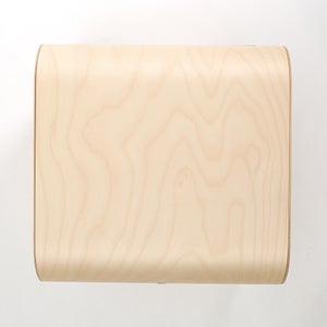 Fatty Containers Lサイズ 2641