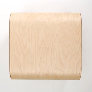 Fatty Containers Lサイズ 2650