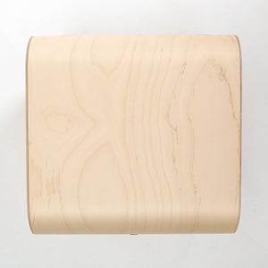 Fatty Containers Lサイズ 2697