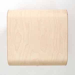 Fatty Containers Lサイズ 2706