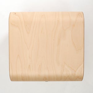 Fatty Containers Lサイズ 2707