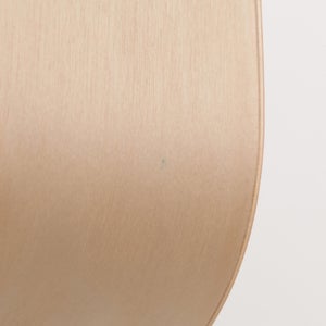 Fatty Containers Sサイズ 0157