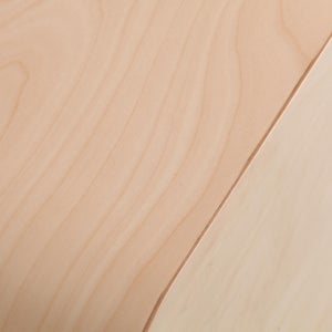 Fatty Containers Sサイズ 0164