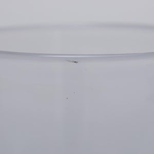 Bellman タンブラー 0642