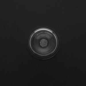 Bellman タンブラー 0829