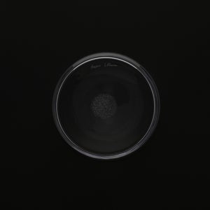 Bellman ベース 150mm 0059