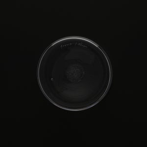 Bellman ベース 150mm 0065