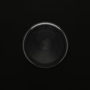 Bellman ベース 150mm 0070