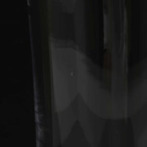 Bellman ベース 185mm 0173