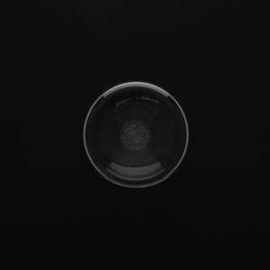 Bellman ベース 185mm 0056