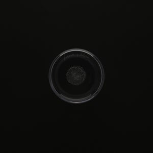 Bellman ベース 250mm 0067