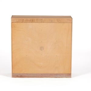 messy イエローバーチ S5 0965