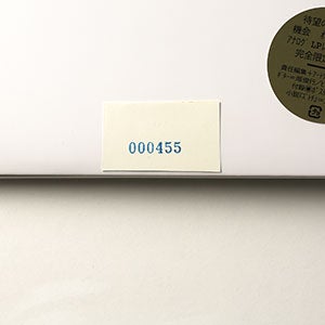 球体 9『機会 OPPORTUNITIES』 0455