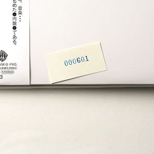 球体 9『機会 OPPORTUNITIES』 0601