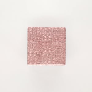 重箱 小＋蓋 2段セット 赤絵 / 赤絵 0243