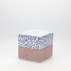 重箱 小＋蓋 2段セット 呉須 / 赤絵 0019