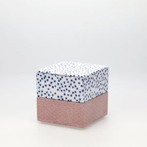 重箱 小＋蓋 2段セット 呉須 / 赤絵 0177