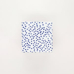 重箱 小＋蓋 2段セット 呉須 / 赤絵 0175