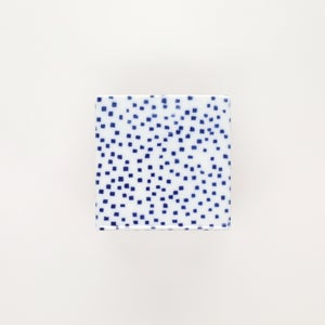 重箱 小＋蓋 2段セット 呉須 / 赤絵 0176