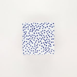 重箱 小＋蓋 2段セット 呉須 / 赤絵 0177