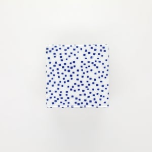 重箱 小＋蓋 2段セット 呉須 / 銀 0041