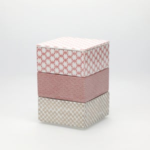 重箱 小＋蓋 3段セット 赤絵 / 赤絵 / 銀 0037