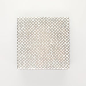 重箱 中＋蓋セット いちご/銀 0005