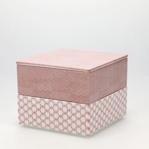 重箱 中＋蓋 2段セット 赤絵 / 赤絵 0195